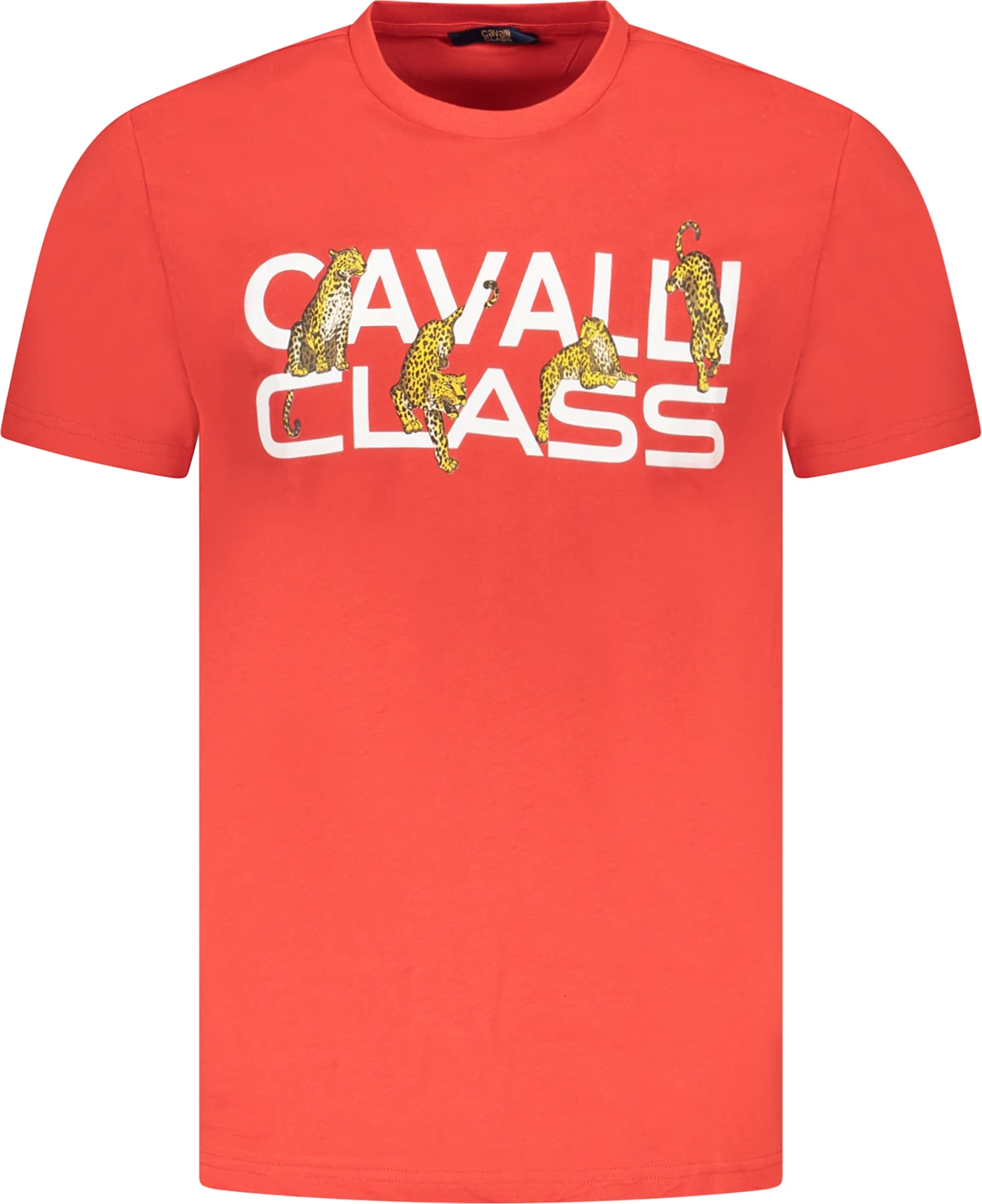 Maicë CAVALLI CLASS për meshkuj, e kuqe