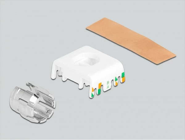 Modul Keystone DeLOCK RJ45 në LSA Cat6A, pa vegla, i mbrojtur, 2 copë, inox