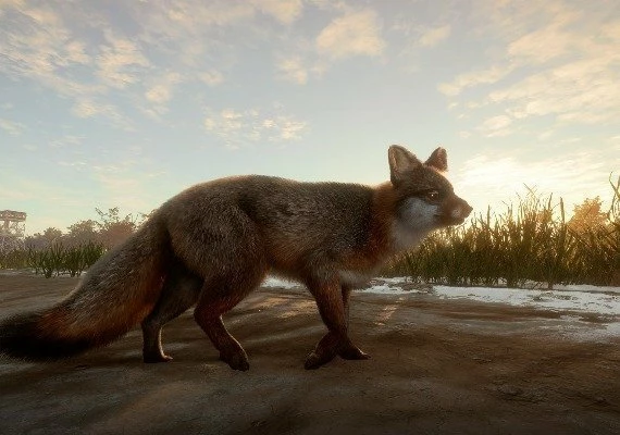 theHunter: Call of the Wild - Mississippi Acres Preserve DLC Global