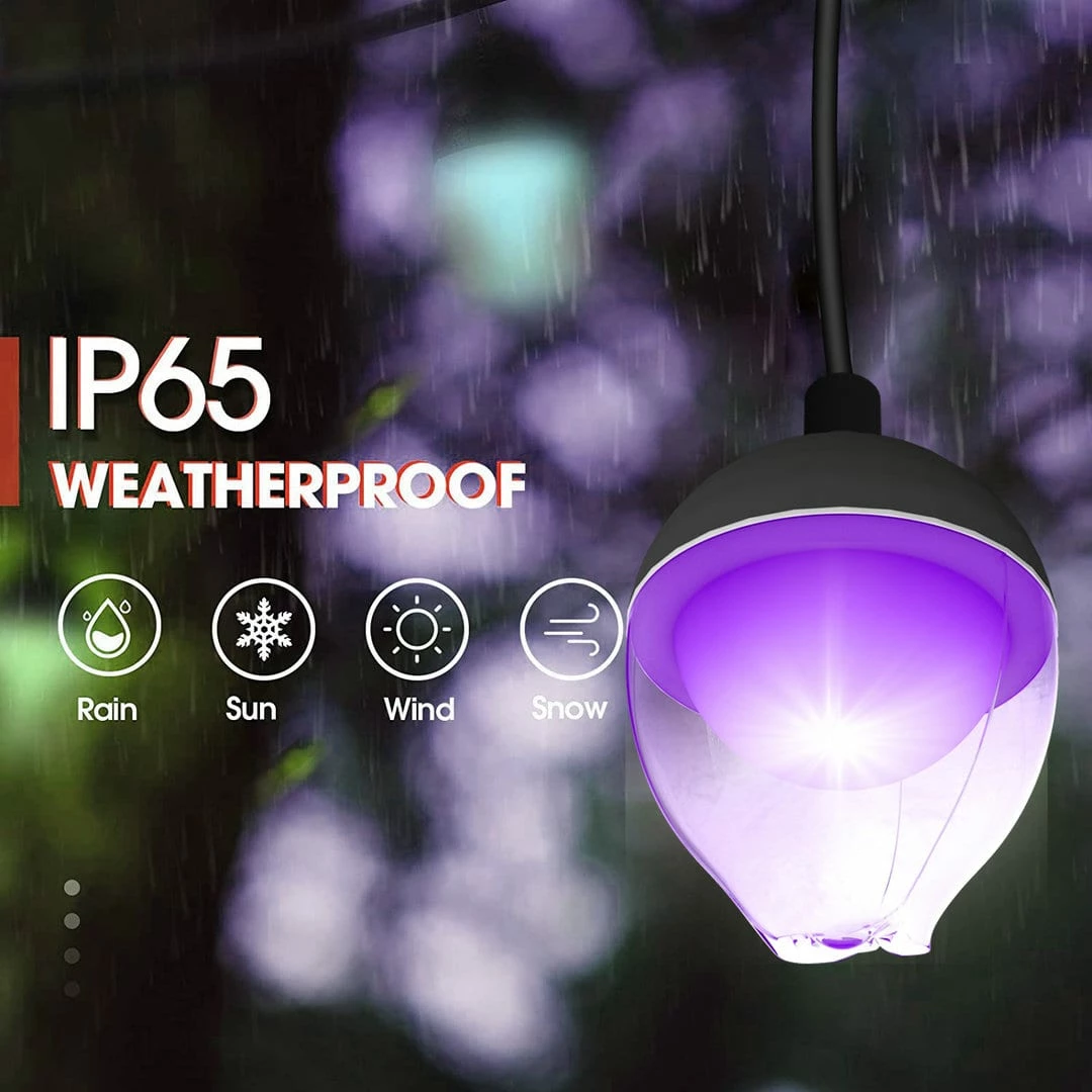 Drita LED Tech Time WIFI Rose LED Bulb String Lights- Smart Tuya APP