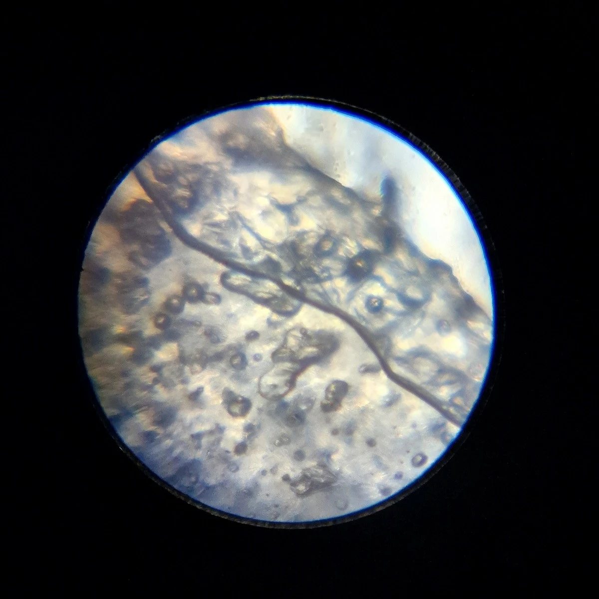 Mikroskop Lisciani I’m a Genius, set edukativ, plastikë, zmadhim deri 1200x, për fëmijë