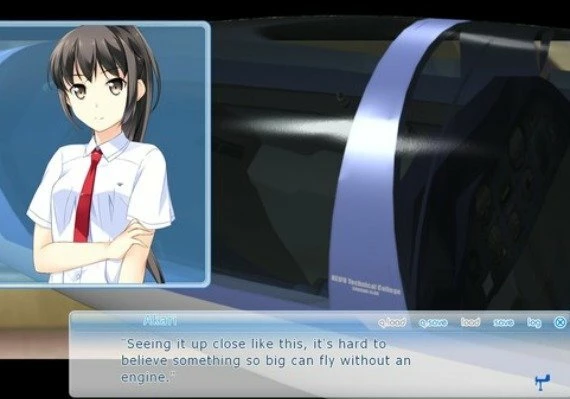 If My Heart Had Wings: Flight Diary - New Wings: Akari DLC EN Global