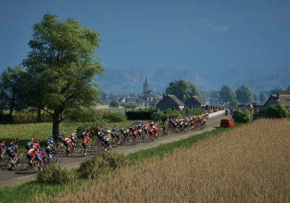 Pro Cycling Manager 25 EN/DE/FR/IT/NO/PT/ES/DA Global