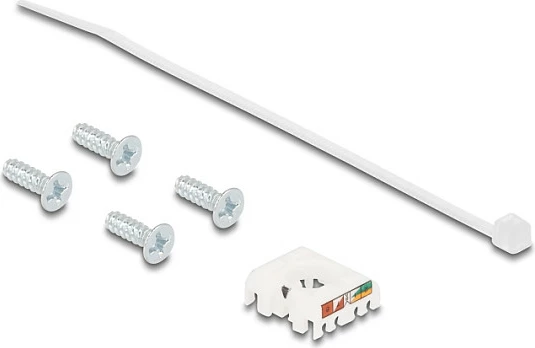 Prizë paneli RJ45 DeLOCK D-Type, Cat6a STP, lidhje LSA, metal, argjendtë