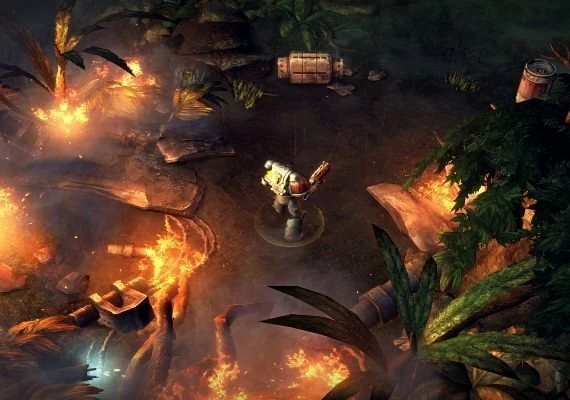 Warhammer 40,000: Space Wolf + Exceptional Card Pack EN Global