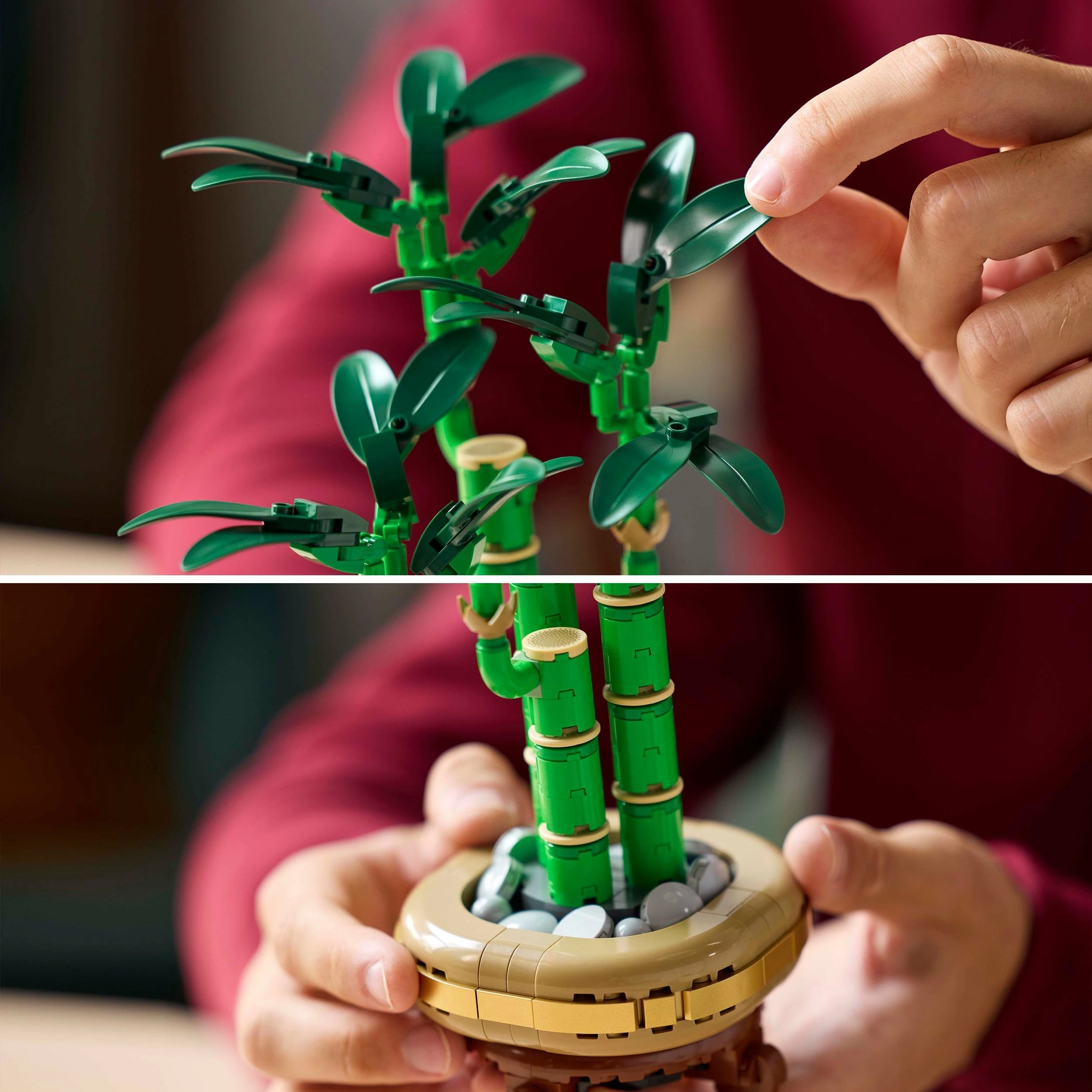 Set LEGO Botanicals 10344 Dracena sandera, 325 copë, 29 cm