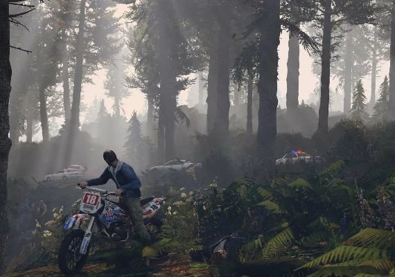 Grand Theft Auto Online: Tiger Shark Cash Card