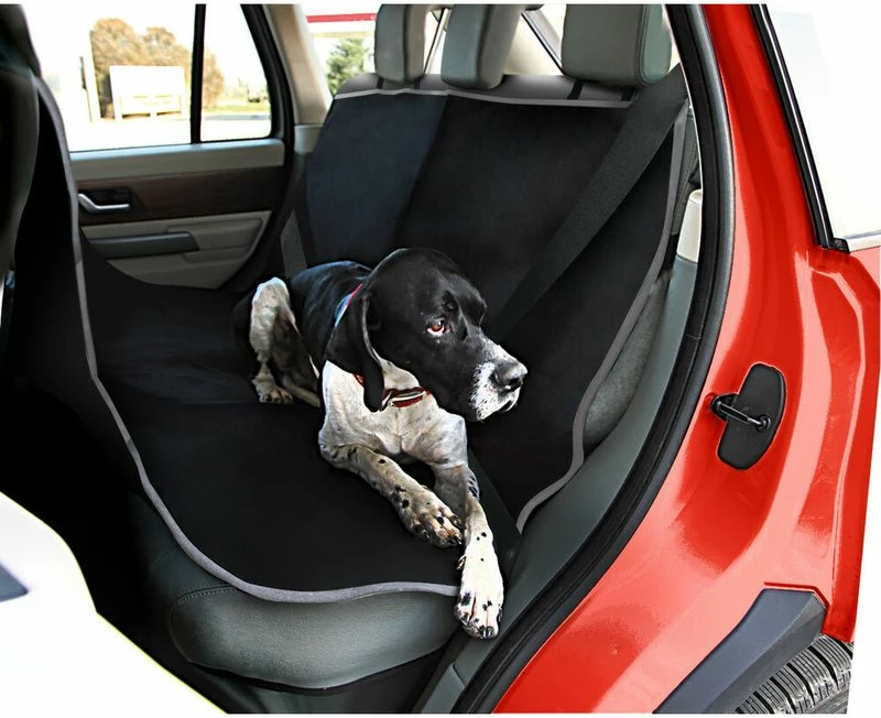 Mbulese Karrike Prapa Per Kafshe