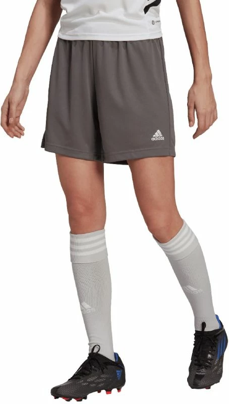 Shorce për meshkuj adidas Entrada 22, gri
