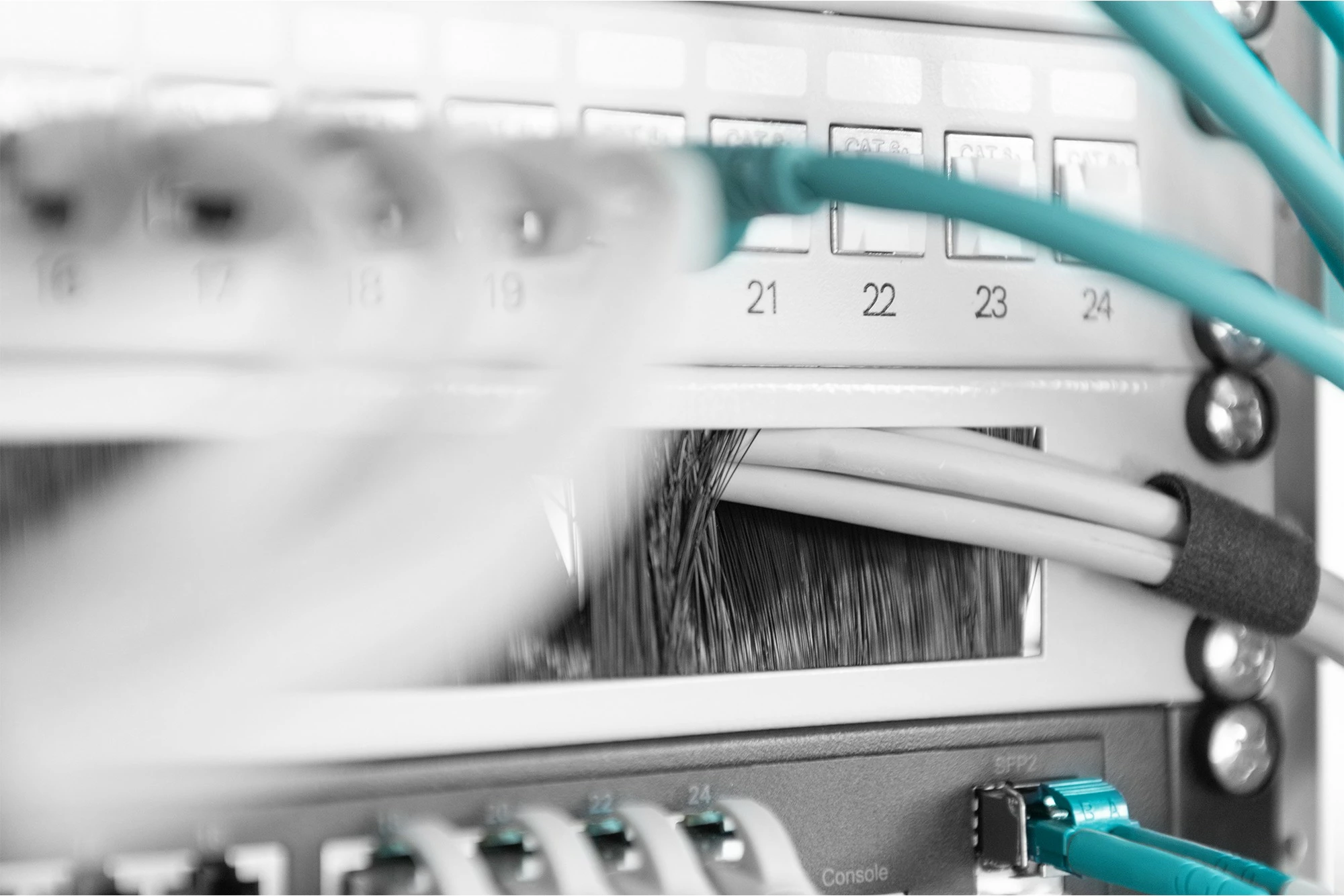 Panel bosh me brushë për kabllo Digitus, 1U, 483mm, ngjyrë hiri