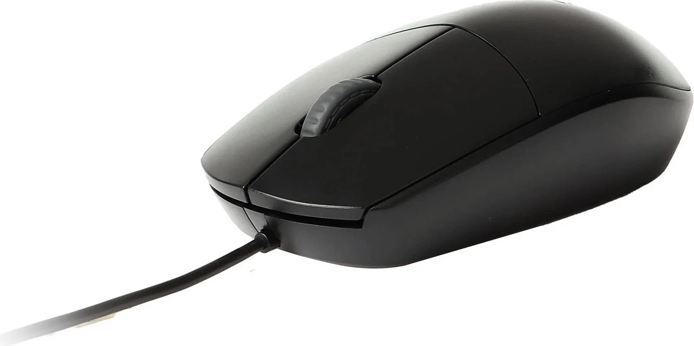 Mausi Rapoo N100, i zi