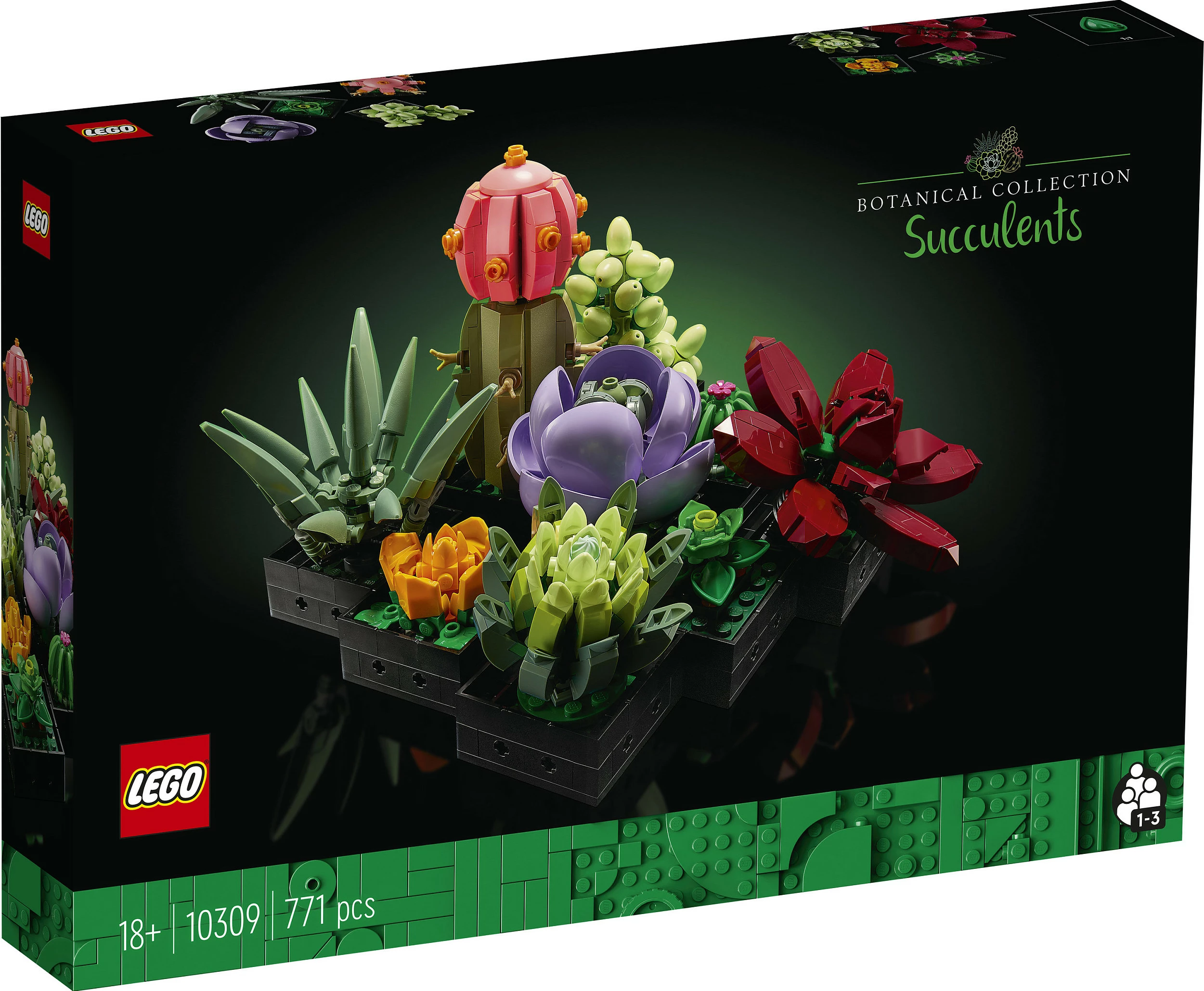 Set ndërtimi LEGO Botanicals Succulents 10309, 771 copë, 18+, multikolor