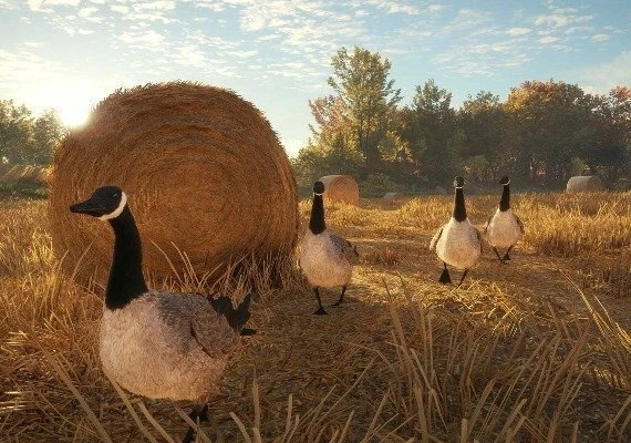 theHunter: Call of the Wild - Silver Bundle EN/DE/FR/IT/PT/ES Global