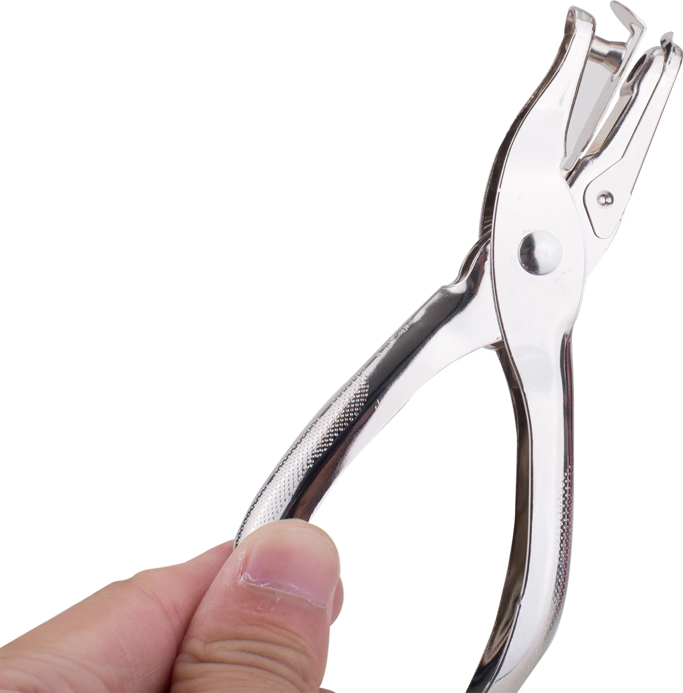 DELI SHPOJSE ME NJE VRIMË 1/12 0114