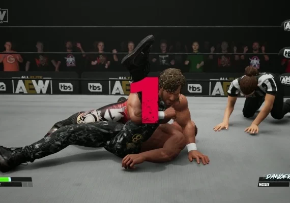 AEW: Fight Forever EN/DE/FR/JA/PT/ZH/ES Global