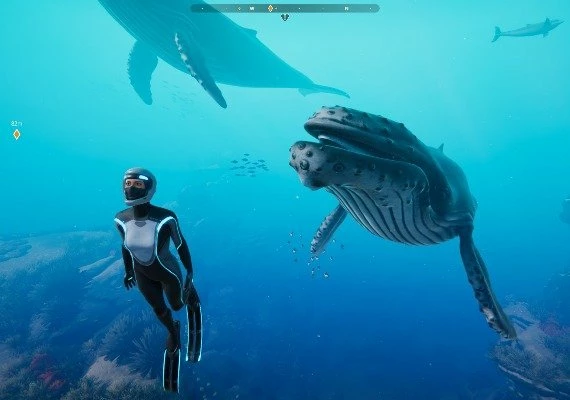 Beyond Blue Global