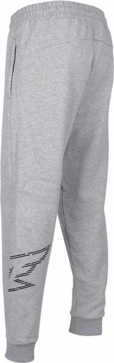 Pantallona sportive për femra Tempish, gri