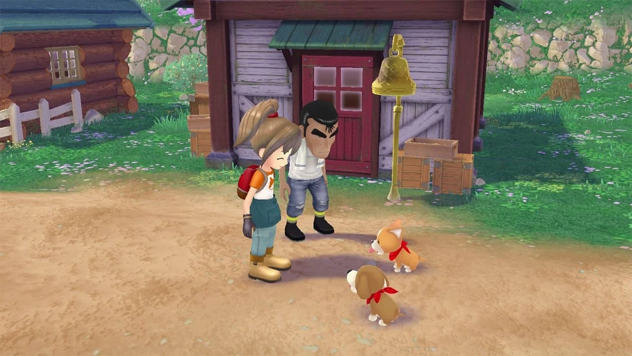 Story Of Seasons: A Wonderful Life - Limited Edition Disk Version PS5