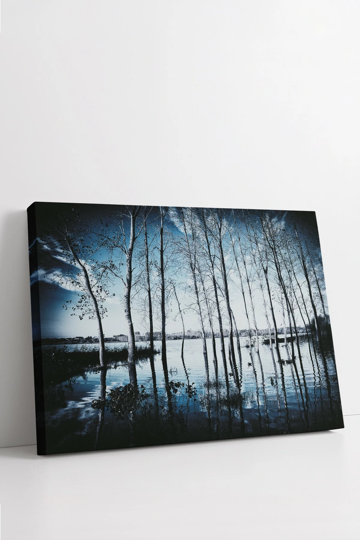 Pikturë dekorative në kanavacë, Wallity, Ersyfdc227, shumëngjyrëshe, 70x100cm