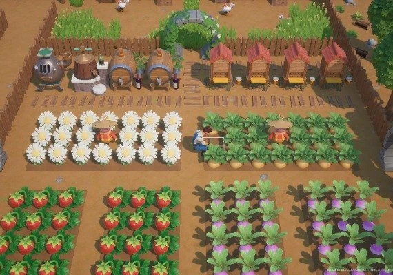Coral Island EN/DE/FR/JA/ZH/ES Global