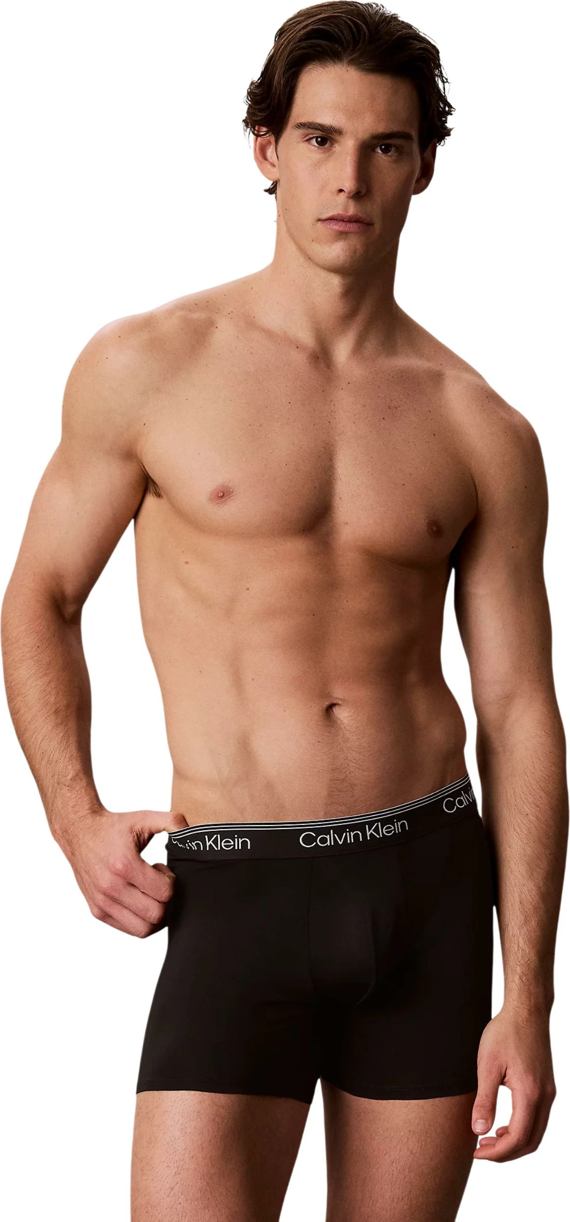 Të brendshme për meshkuj Calvin Klein Underwear LV00NB4410, gri e çelët [Madhësia: XL]