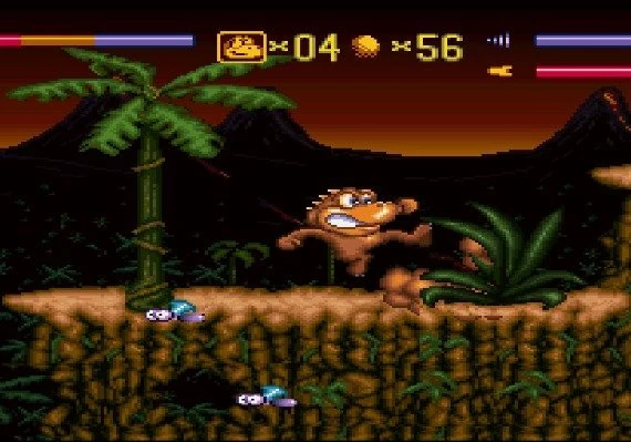 Radical Rex EN Global