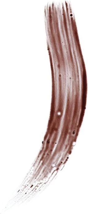 Revolution Brow Medium Brown