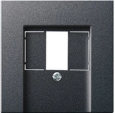 Mbulesë/modul prizë muri GIRA 027628, TAE/USB, anthracit
