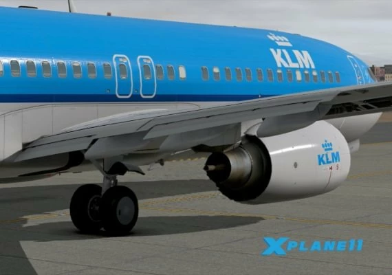 X-Plane 11 EN/DE/FR/IT/PT/RU/ES Global