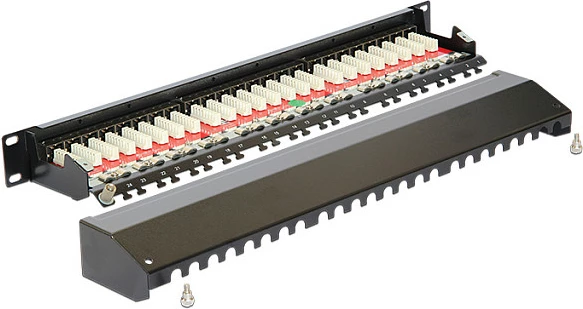 Patchpanel DeLOCK 19" 24-Port Cat6A, 1U, RJ-45, i zi