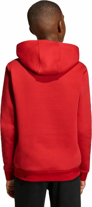 Duks për fëmijë adidas Entrada 26 Hoody, i kuq