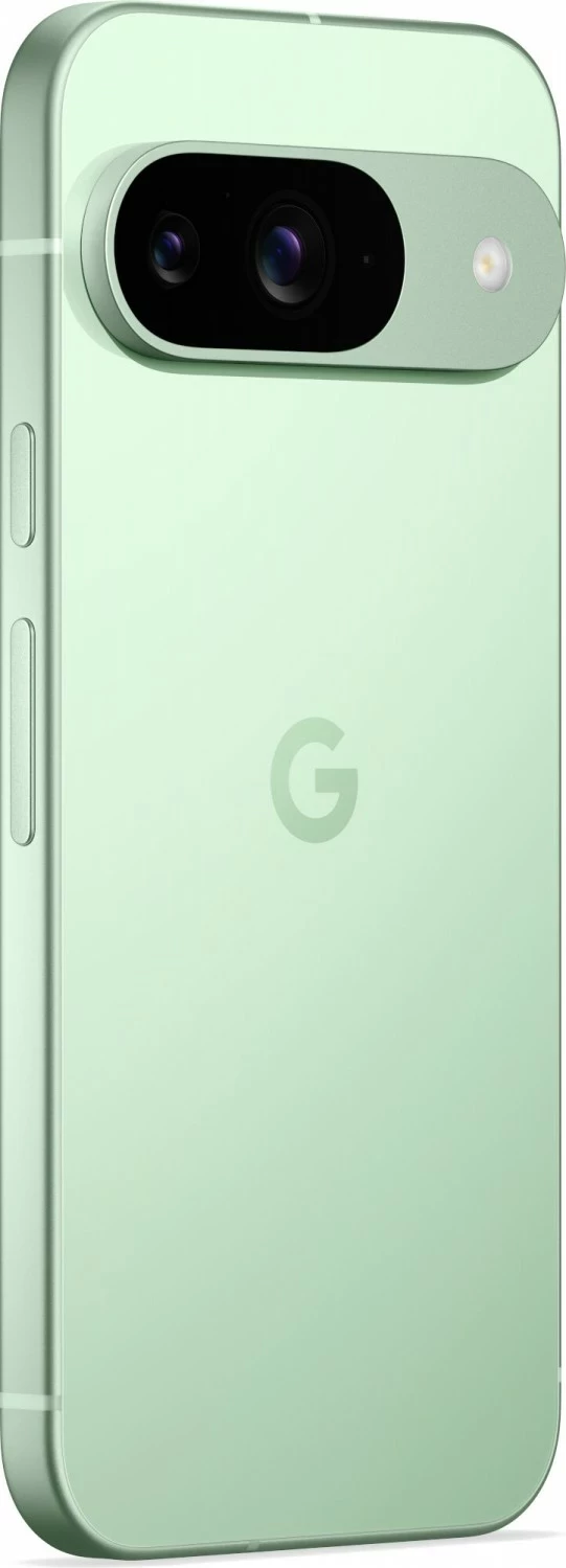 Celular Google Pixel 9 5G 12/128GB Dual SIM Winter Green