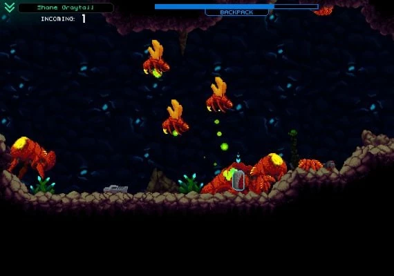 Hive Jump EN Global