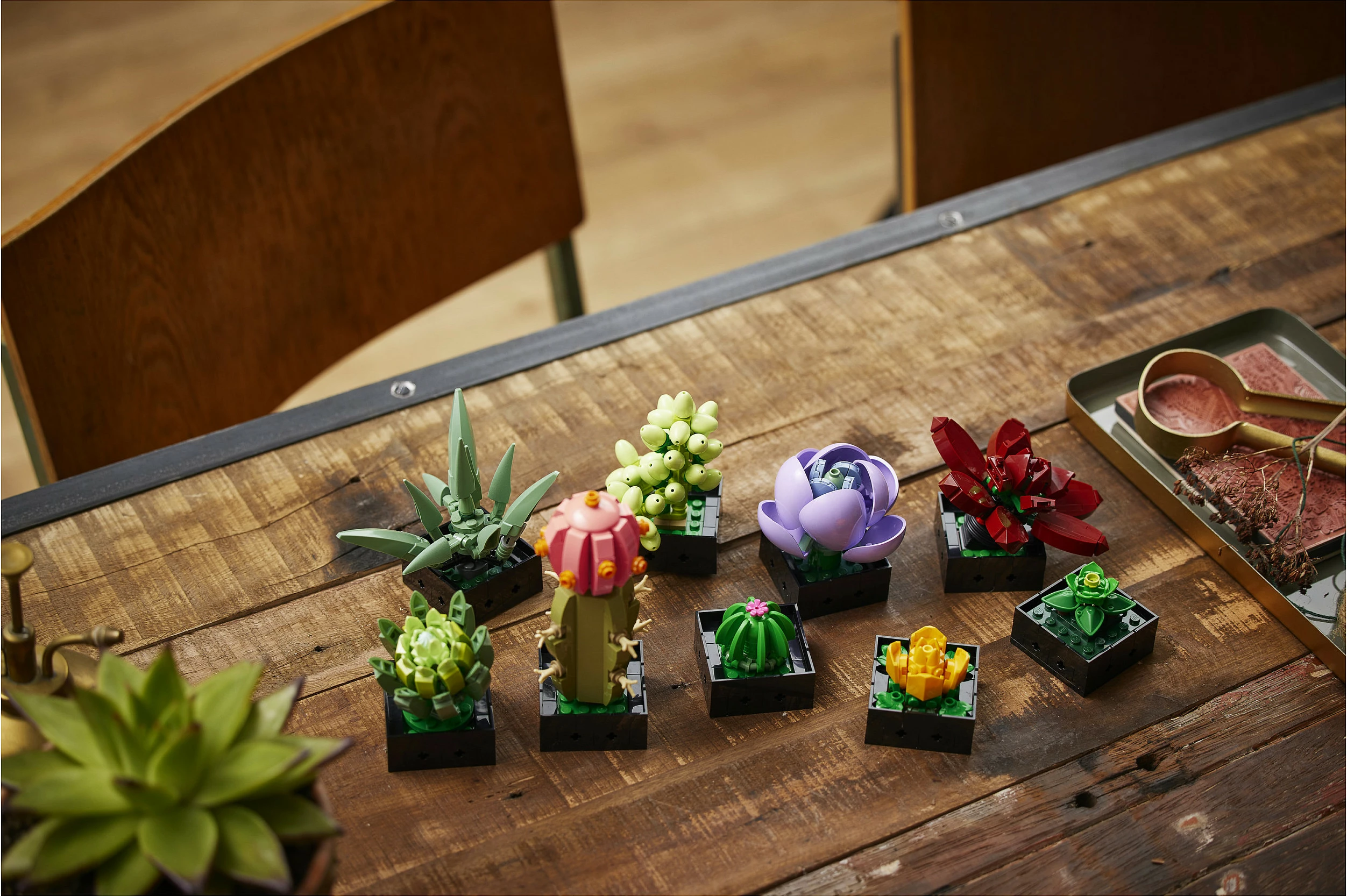 Set ndërtimi LEGO Botanicals Succulents 10309, 771 copë, 18+, multikolor