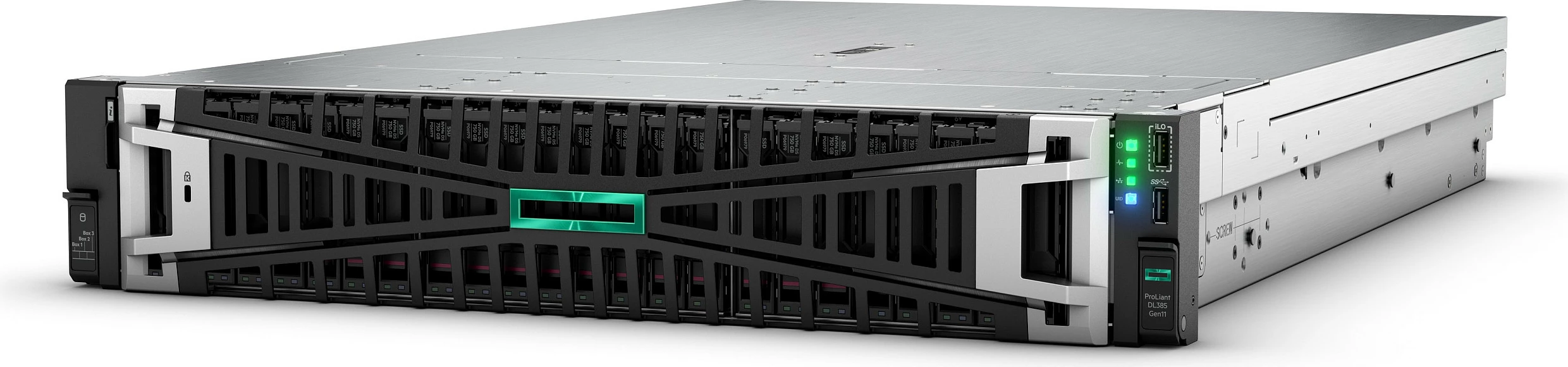 Server rack Hewlett Packard Enterprise HPE ProLiant DL385 Gen11, AMD EPYC 9124 3.0GHz 16-Core, 64GB DDR5, 2x480GB SATA SSD, 10GbE, 2U, zezë/gri