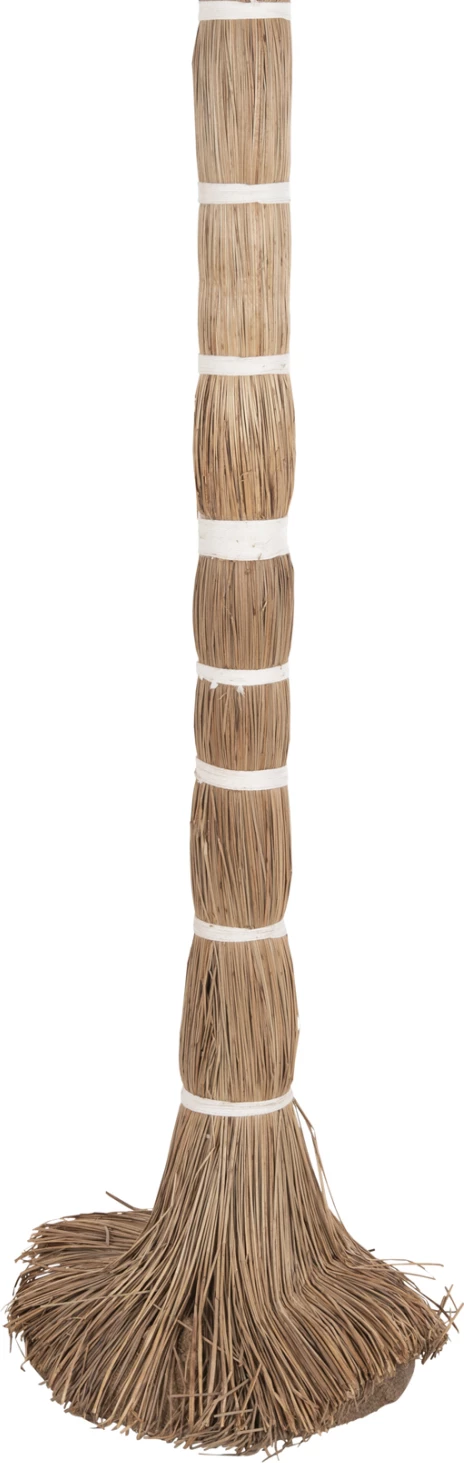 Pemë dekorative tropike, stil kokosi, FH4324, bar Mendong, 280Hcm