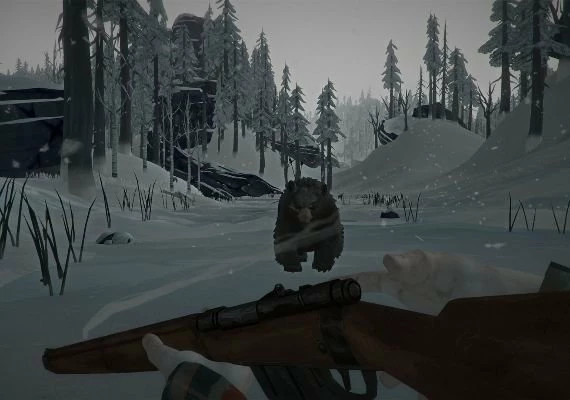 The Long Dark Survival Edition Global