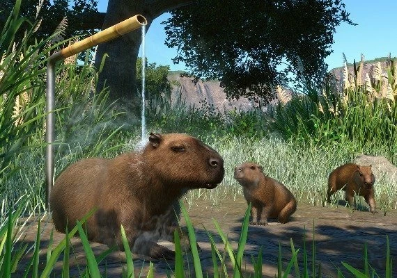Planet Zoo - Wetlands Animal Pack DLC Global
