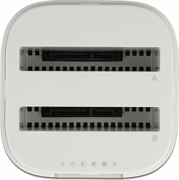 Docking station DeLOCK USB-C 3.2 Gen 2, për 2x 2.5" SATA HDD/SSD, Clone, e bardhë