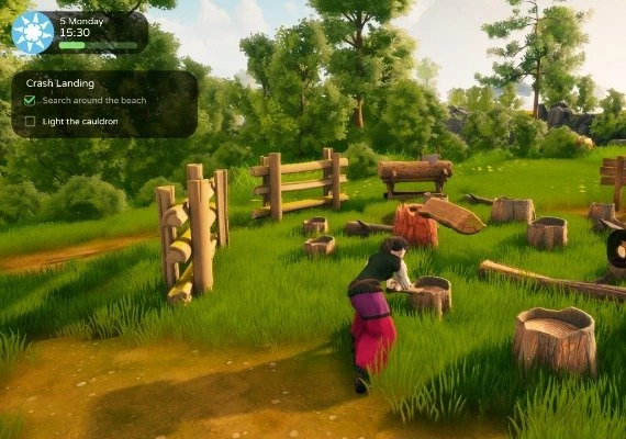 The Witch of Fern Island EN/PL Global