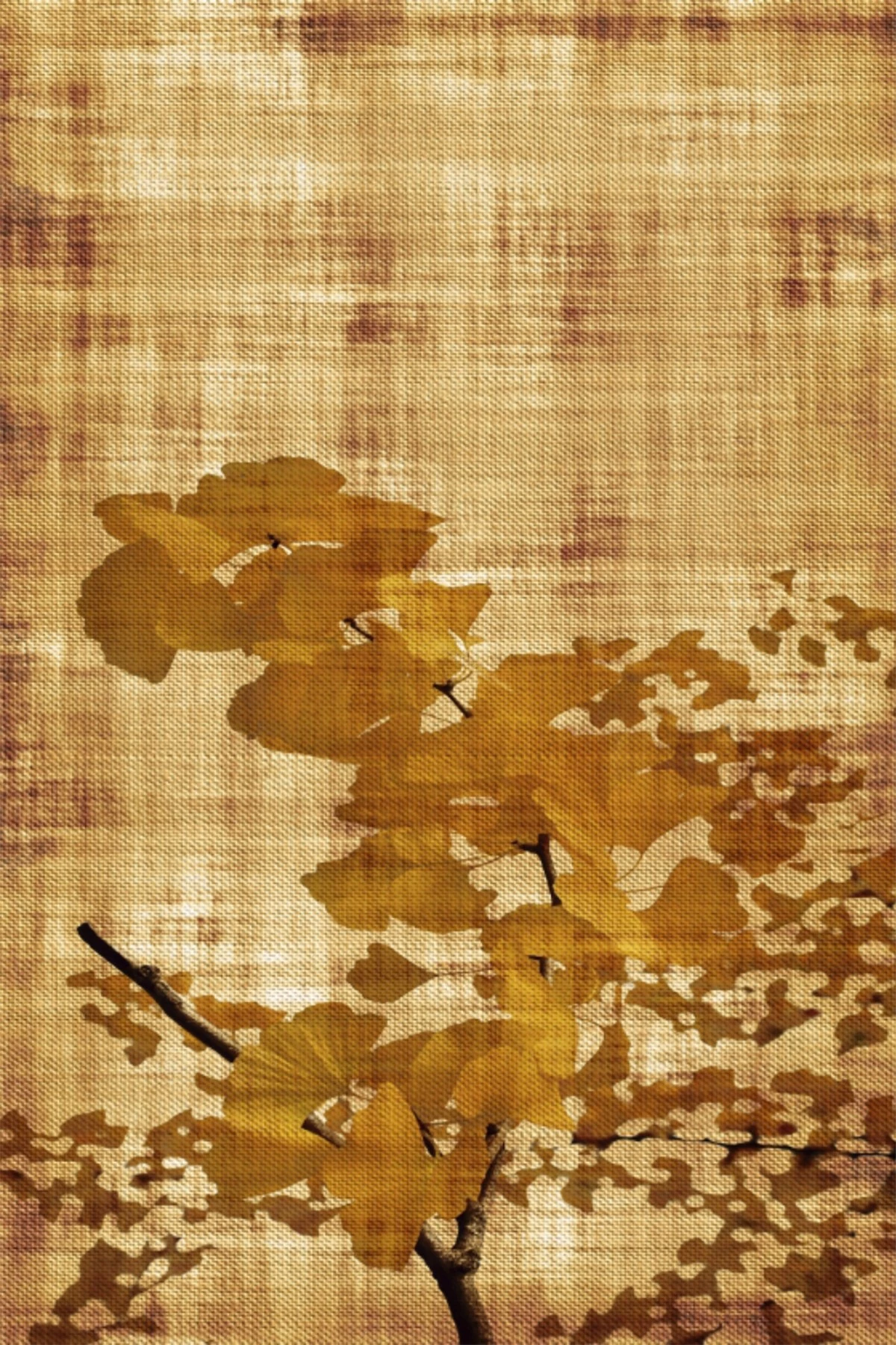 Qilim për korridor, shumëngjyrësh, Conceptum Hypnose CT-2116, 80x150cm