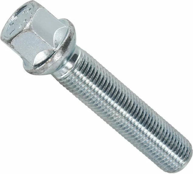 Bulona Per Fellne Ts3 10/1