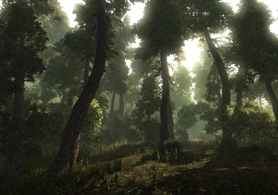 Risen 1 EN/DE/FR/IT/ES Global