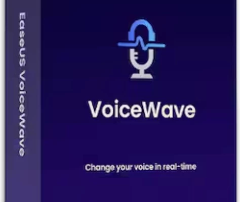 EaseUS VoiceWave Pro 3 Months 1 Dev EN Global