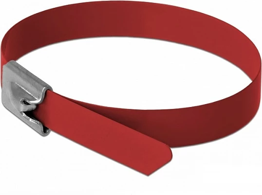 Lidhëse kabllosh inox DeLOCK 300 x 7.9 mm, 10 copë, e kuqe