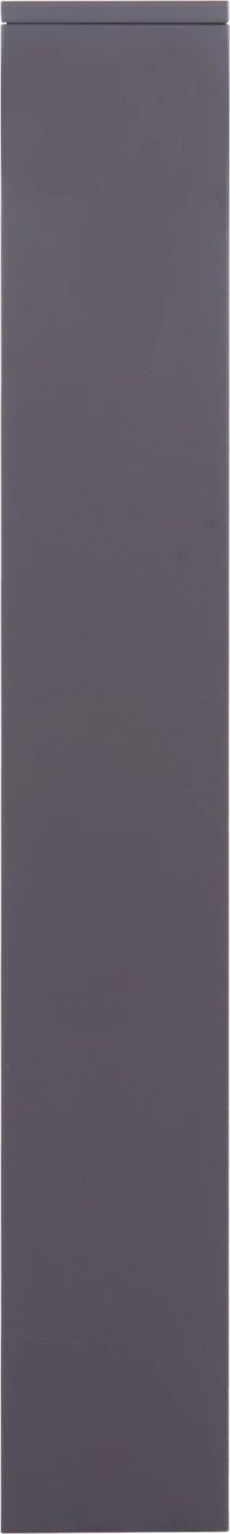 Dollap këpucësh metalik STARK, ngjyrë antracit, 3 dyer magnetike, FH6633.03, 71x15x103cm