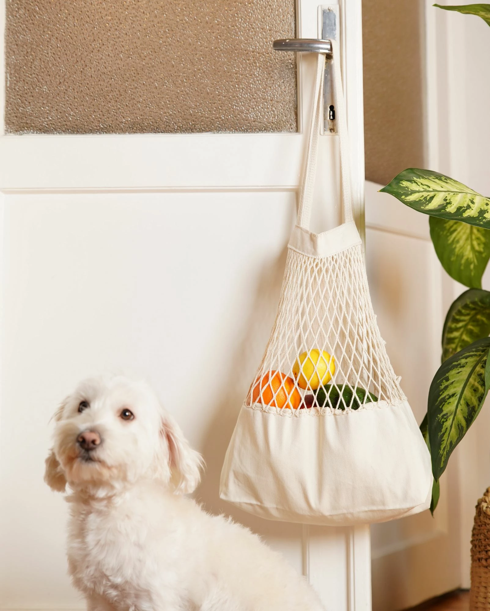 Qese rrjete e madhe, pambuk 100%, ngjyrë bezhë natyrale
