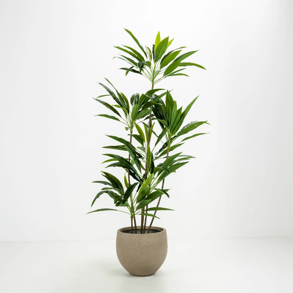 Set vazo betoni SCILLA, 2 copë, ngjyrë kafe e çelët, 40x40x34cm