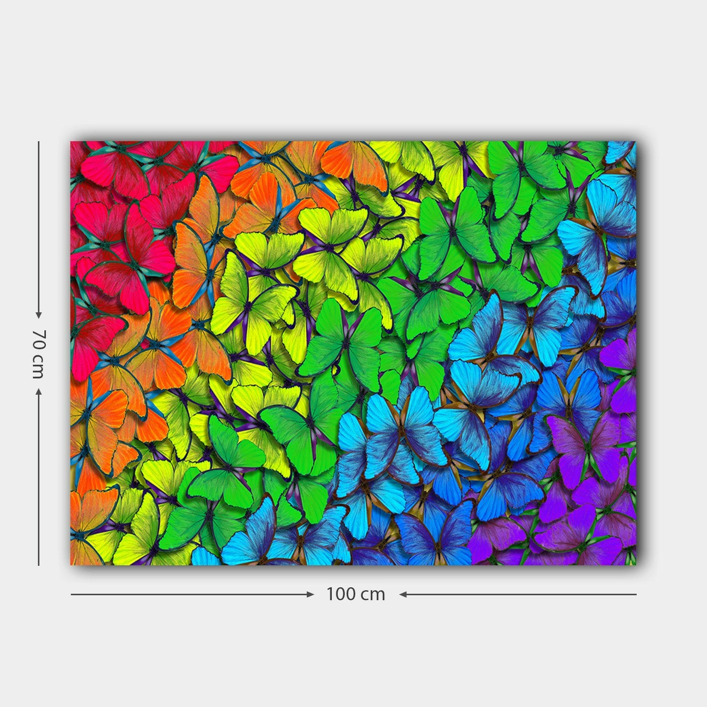 Pikturë dekorative në kanavacë, shumëngjyrëshe, 70x100cm, 1270004971_70100