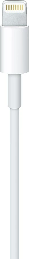 Apple Lightning to USB Cable, 1m